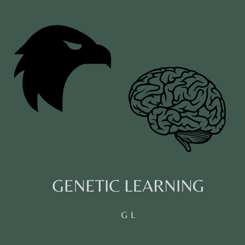 17) Wits lightning – One